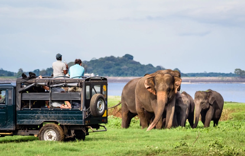 Yala-National-Park-Sri-Lanka India