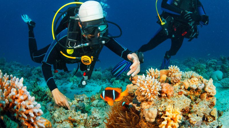 Immersioni Subacquee Alle Andamane