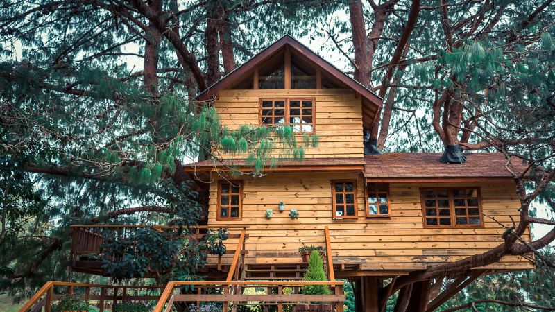 Un Soggiorno Unico Nella Casa Sull'albero